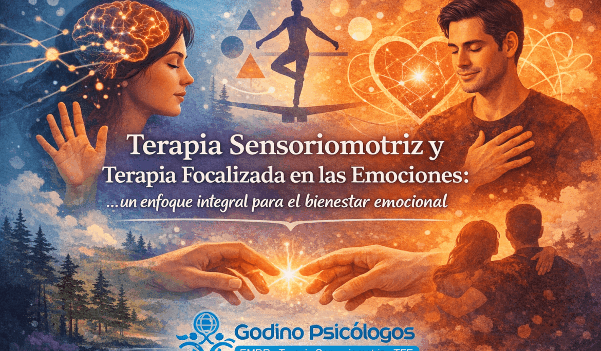 Terapia Sensoriomotriz